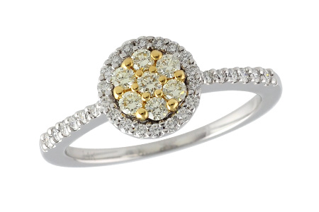 14K Two-Tone Diamond Ring